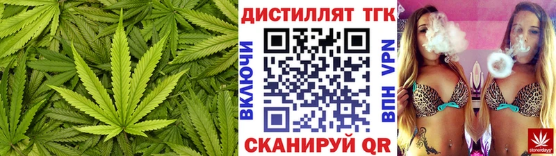 Купить где Волжский Дистиллят ТГК концентрат