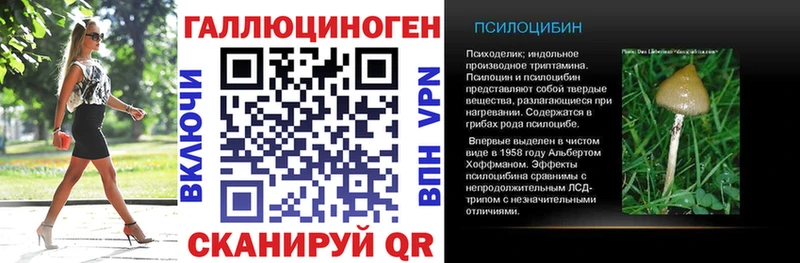 Купить закладки  Волжский  Псилоцибиновые грибы ЛСД 