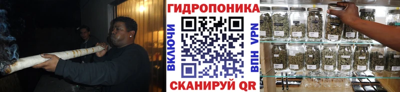 Бошки марихуана THC 21%  Купить где  Волжский 